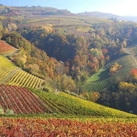 Agriturismo Il Ciliegio トレイゾ