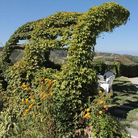 Farm stay Il Ciliegio Treiso