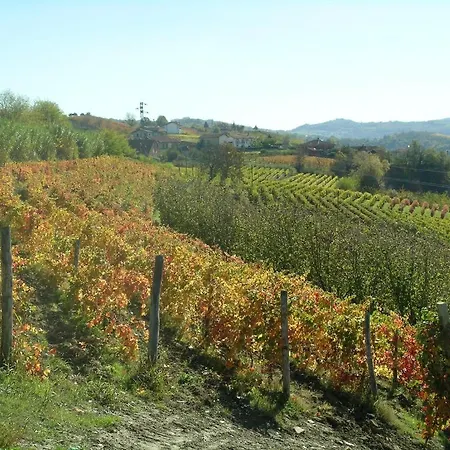 Agriturismo Il Ciliegio ファームステイ