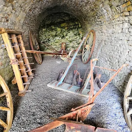 Agriturismo Il Ciliegio * Treiso