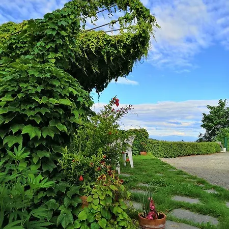Agriturismo Il Ciliegio Treiso