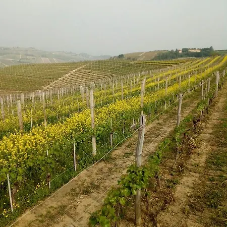 Agriturismo Il Ciliegio Alojamento de Turismo Rural