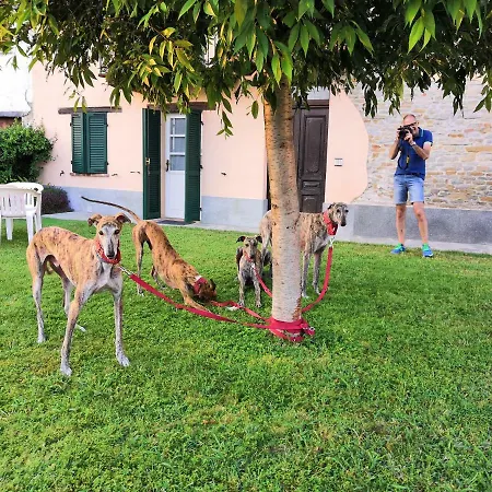 Farma Agriturismo Il Ciliegio