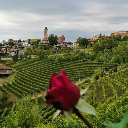 Agriturismo Il Ciliegio *