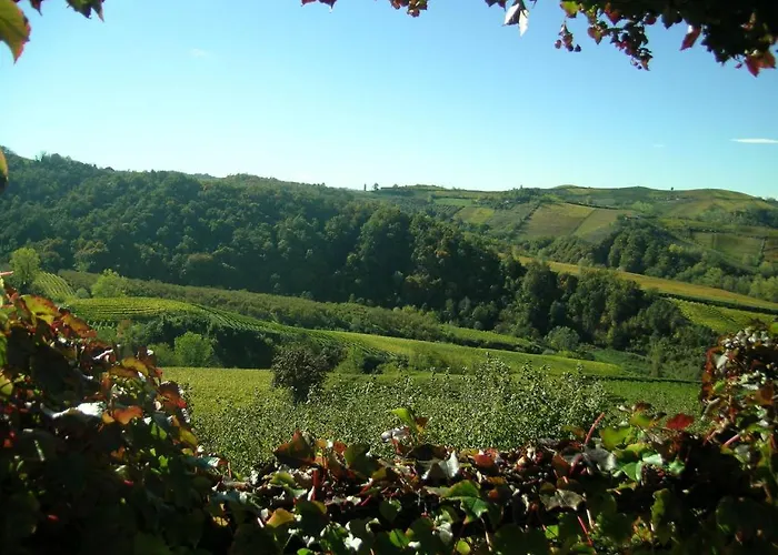 Il Ciliegio Farm stay *