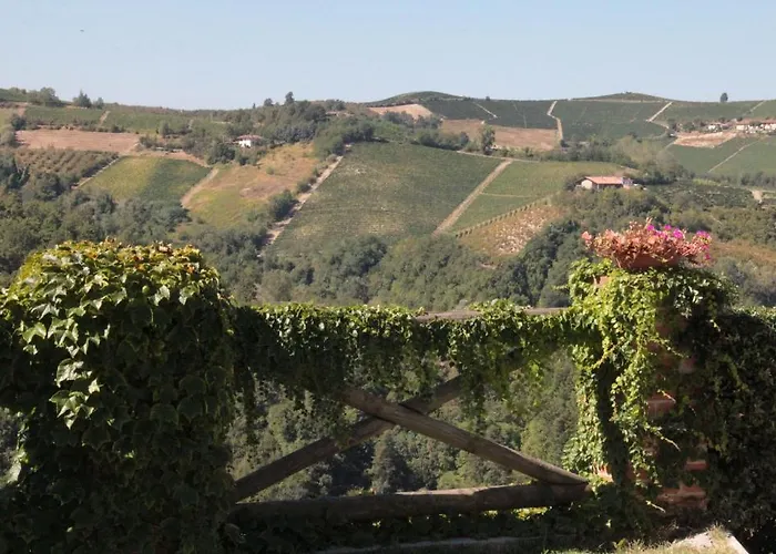 Il Ciliegio Farm stay