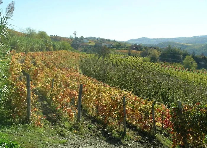 Il Ciliegio Farm stay