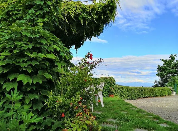Agriturismo Il Ciliegio טרייזו
