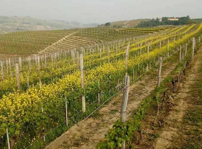 Agriturismo Il Ciliegio בית חווה