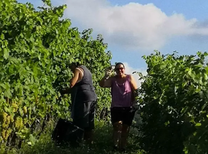 בית חווה Agriturismo Il Ciliegio טרייזו