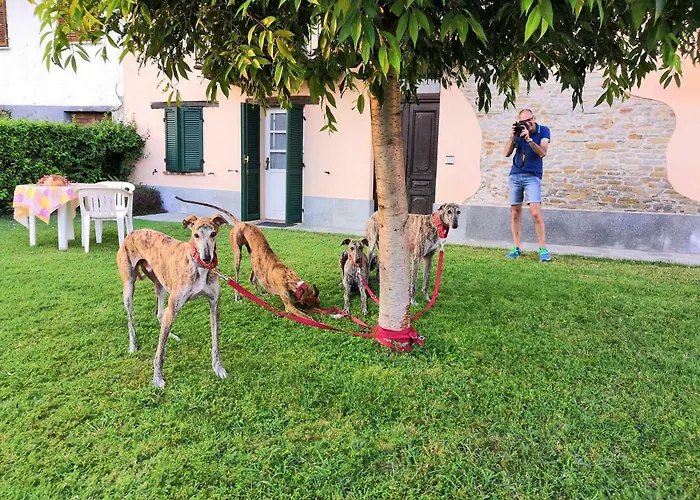 Séjour à la ferme Agriturismo Il Ciliegio