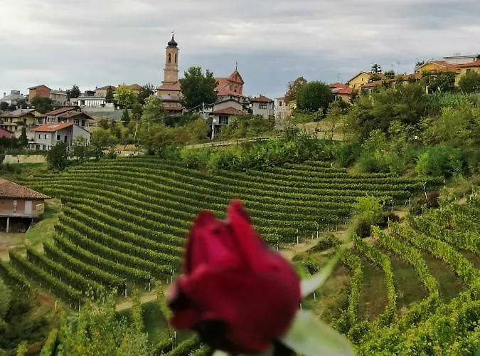 Agriturismo Il Ciliegio *